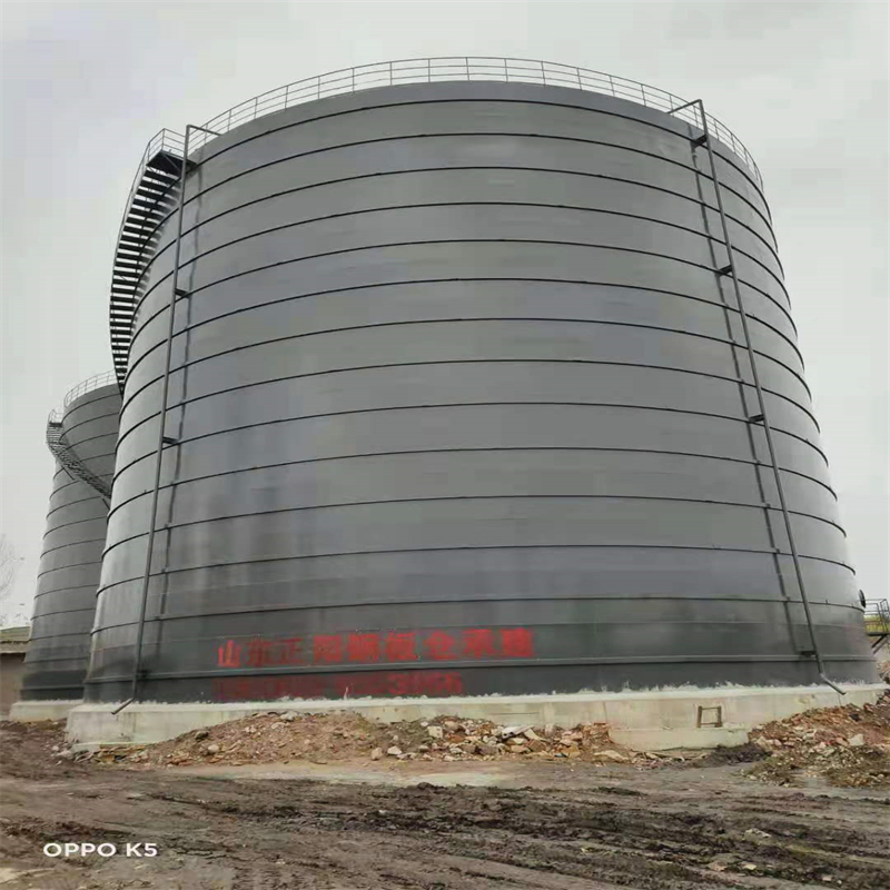 盘龙3万吨大型钢板库