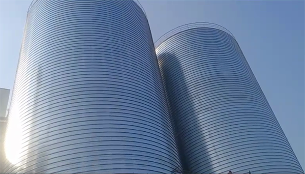 盘龙2座混凝土高架卷板仓