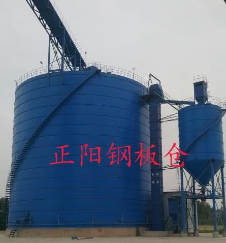 盘龙大型矿粉钢板库